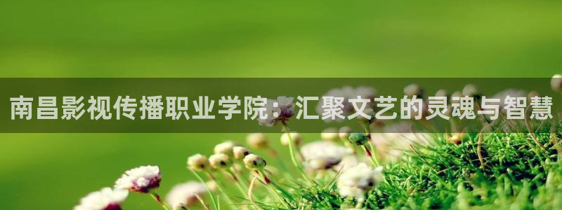 老濕影院h：南昌影視傳播職業學院：匯聚文藝的靈魂與智慧