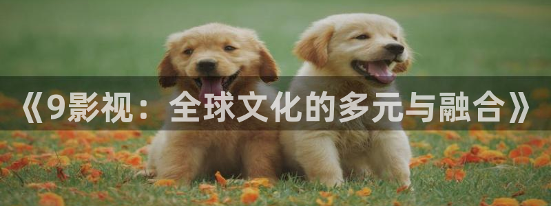 老濕電影網：《9影視：全球文化的多元與融合》